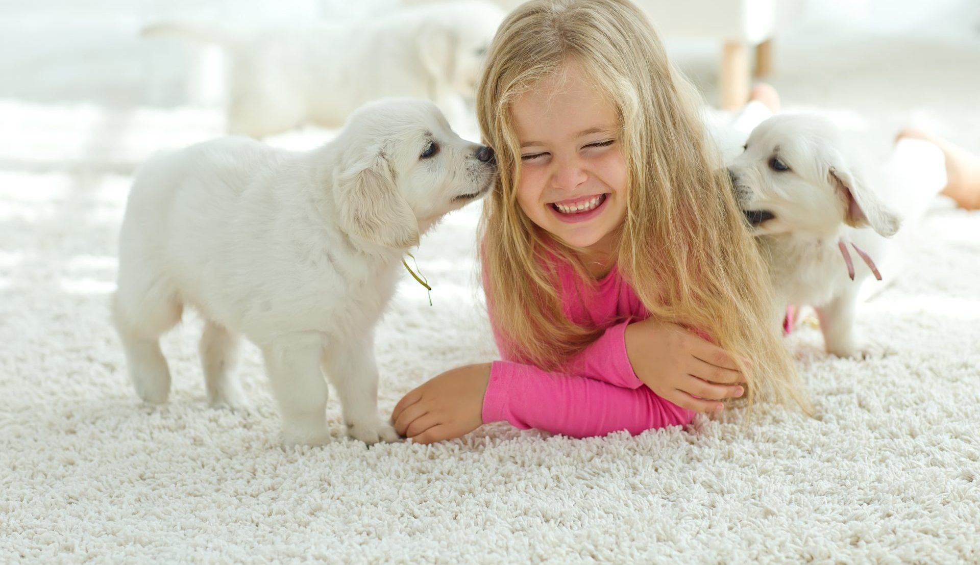 What is Carpet Underlay And Do I Need It? QA Flooring