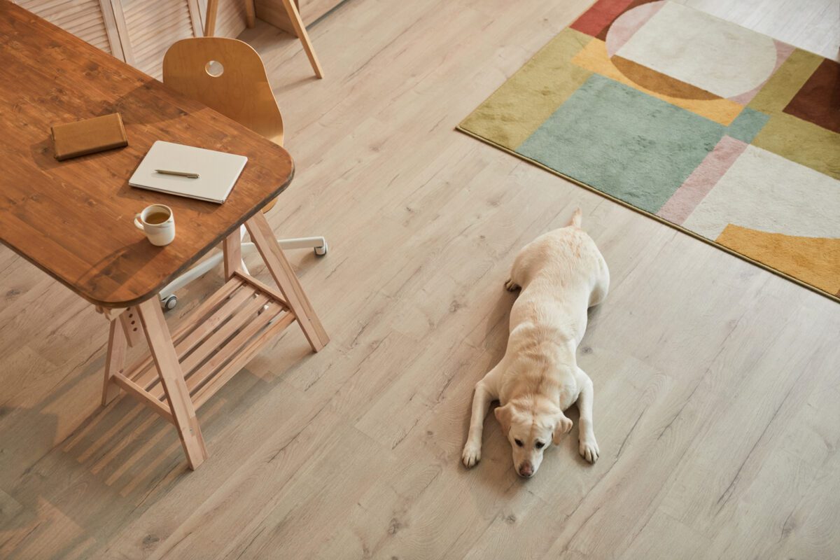 Best Underlay for LVT and Vinyl Flooring QA Flooring
